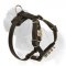 Leather Spiked Mastiff Dog Harness for First Walks