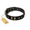 "Fit for Royalty" FDT Artisan Black Leather Mastiff Collar with Plates and Small Square Studs