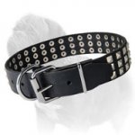 Silver Pyramids Studded Leather Dog Collar for Mastiff Walking