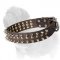 Way-out Mastiff Dog Collar with Spikes and Brass Half-Ball Studs