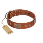 "Great Obelisk" Handcrafted FDT Artisan Tan Leather Mastiff Collar with Large Plates and Pyramids