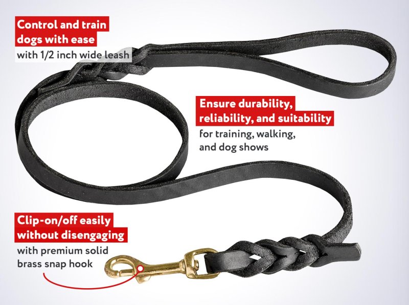 Top-Notch Quality Leather Mastiff Dog Leash