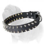 Mastiff Leather Spiked Dog Collar for Daily Walks