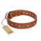 "Natural Beauty" FDT Artisan Tan Leather Mastiff Collar with Shining Silver-like Studs