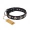 'Silver Charm' FDT Artisan Mastiff Leather Dog Collar with Studs and Plates