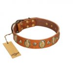 "Venus Breath" FDT Artisan Tan Leather Mastiff Collar with Vintage Looking Oval and Round Studs