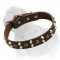 Fabulous Leather Collar with Pyramids and Studs - The Pink of Dog Fashion