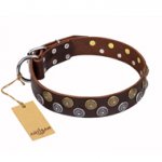 'Strong Shields' Decorated FDT Artisan Brown Leather Mastiff Collar - 1 1/2 inch (40 mm) wide