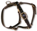 Latigo Leather Non-Padded Tracking Harness for Mastiff