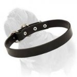 Slap-up Leather Collar for Energetic Mastiff Dog - Simplicity Is The Beauty