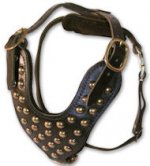 Stud Dog Harness for Mastiff -2 ply leather HARNESS