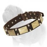 Fashion Leather Dog Collar with Nickel Pyramids and Massive Brass Plates