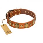 "Crystal Sand" FDT Artisan Tan Leather Mastiff Collar with Vintage Looking Oval and Round Studs