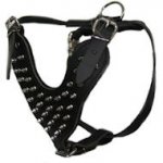 English Mastiff Spiked leather dog harness-Deluxe spiked harness