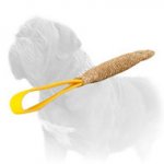 Colorful Mastiff Dog Bite Training Tug of Jute