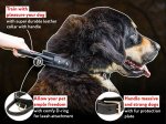Training leather agitation dog collar with handle