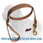 Chic Braided Mastiff Leather Dog Leash_1