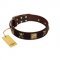 "Crazy Pirate" FDT Artisan Brown Leather Mastiff Collar with Old Bronze-Plated Skulls and Plates