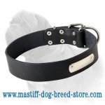 Leather Dog Collar with Name Tag for Mastiffs_1
