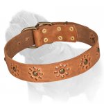 'Spring Mood' Mastiff Dog Collar with Flower Ornament