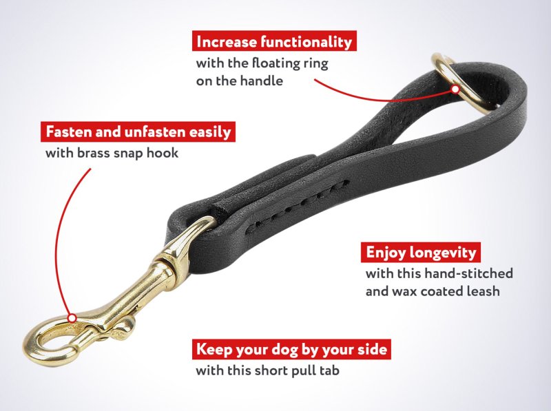 'Easy Grab' Mastiff Dog Leash