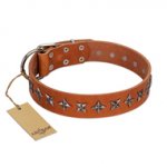 "Star Trek" FDT Artisan Tan Leather Mastiff Collar Decorated with Stars