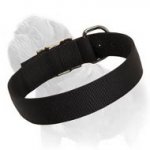 Everyday Comfortable Nylon Collar for Your Beloved Mastiff