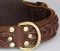 WESTERN DESIGNER CUSTOM LEATHER DOG COLLARS for Mastiff