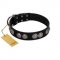 "Magic Amulete" Handcrafted FDT Artisan Black Leather Mastiff Collar with Chrome-Plated Shields