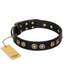 "Golden Artifact" FDT Artisan Black Leather Mastiff Collar with Old-bronze Covered Medallions
