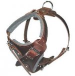 K9 Pro Leather Dog Harness for Mastiff