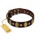 "Retro Pusle" FDT Artisan Brown Leather Mastiff Collar with Old Bronze-like Studs and Oval Brooches