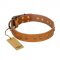 "Autumn Story" FDT Artisan Leather Mastiff Collar with Old Bronze Look Studs