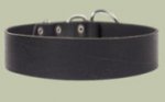 2 inch wide All Weather Collar for Mastiff-Leather Collar