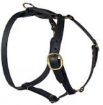 Classic Leather Harness For Big Dogs-Mastiff harness