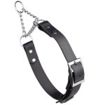 Biothane Martingale Collar with Metal Buckle_14