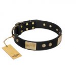 "Antique Gloss" FDT Artisan Black Leather Mastiff Collar with Bronze-like Plates and Small Studs