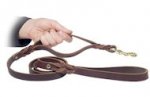 Have dog training lead 5 FT for Mastiff training