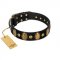 "Venerable Pawty" FDT Artisan Black Leather Mastiff Collar with Old Bronze-like Ovals and Studs