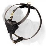 Best Harness for Mastiff Puppy - Free Movements and Comfort
