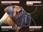Leather dog muzzle "Dondi"-plus style Mastiff