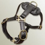 Genuine Leather Dog Harness for Mastiff