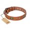 "Stunning Dress" FDT Artisan Tan Leather Mastiff Collar with Old Bronze Look Plates and Studs