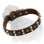 Fabulous Leather Collar with Pyramids and Studs - The Pink of Dog Fashion