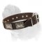Unusual Design Mastiff Dog Collar with Steel Nickel Plated Plates