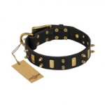 "Medieval Style" Leather Mastiff Collar with Brass Plates and Spikes