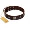 "Cold Star" Designer FDT Artisan Brown Leather Mastiff Collar with Silver-Like Adornments