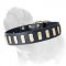Leather Dog Collar with Brass Plates for Fashionable Mastiff Walking