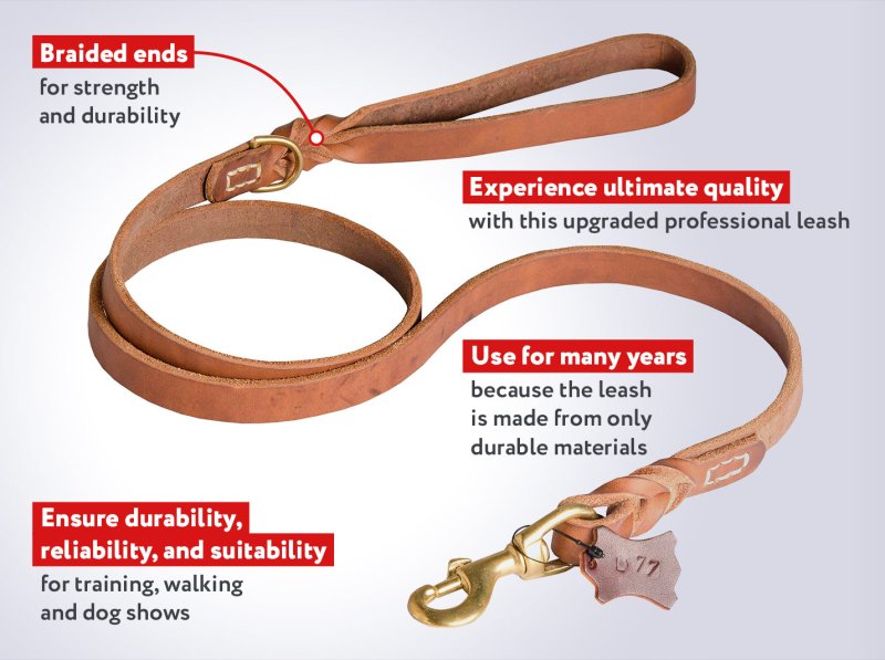 Chic Braided Mastiff Leather Dog Leash