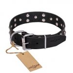 FDT Artisan 'Mystic Skulls' Decorated Leather Mastiff Dog Collar with Skulls and Studs 1 1/2 inch (40 mm)